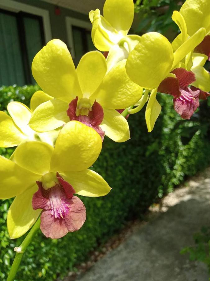 Blue Orchid Beach Krabi - Sha Certified Ao Nam Mao Екстериор снимка